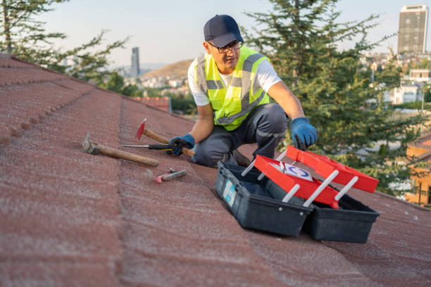 Best Storm Damage Siding Repair  in Granger, TX